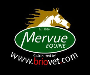 Mervue equine Briovet 2