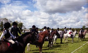 ponies in line up 2001