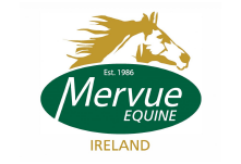 Mervue Equine