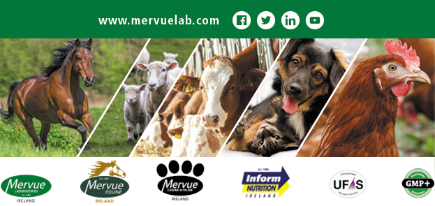 This image has an empty alt attribute; its file name is mervue-animal-logo-1.png