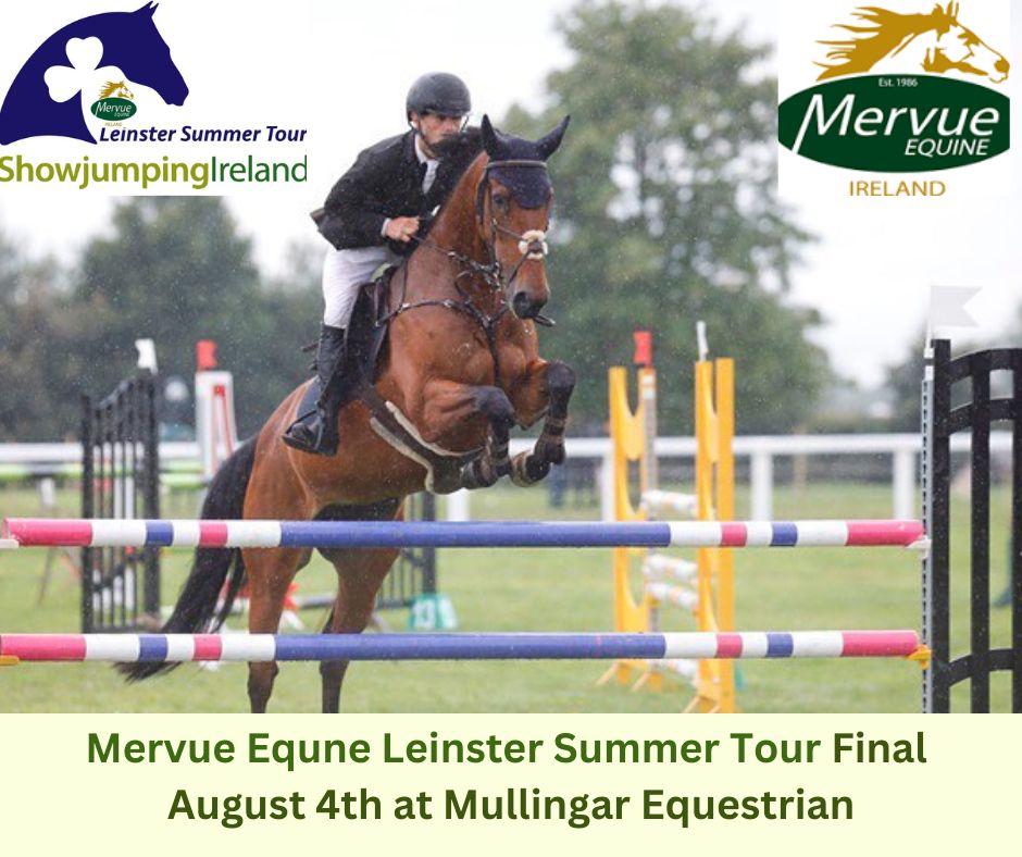 Mervue Equine Leinster Summer Tour Final